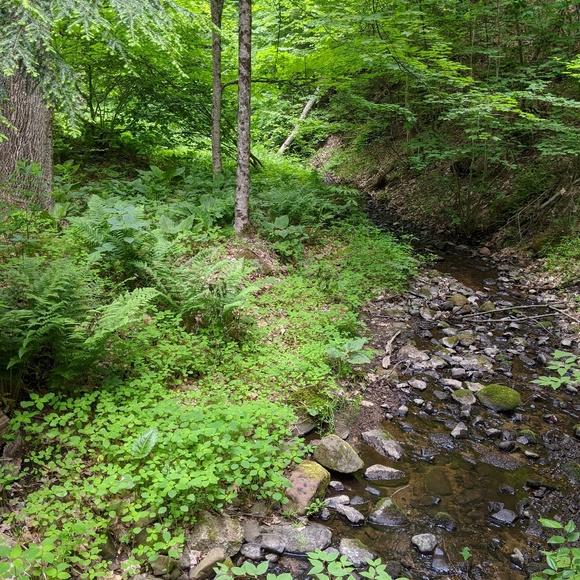 Meet your Posher, Julia - Picture 7 of 10